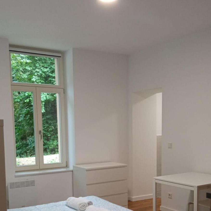Studio Near To The City Centre ลักเซมเบิร์ก ภายนอก รูปภาพ